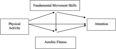 Association between moderate-to-vigorous physical activity and attention among children aged 6–12 years: chain mediating effects of fundamental movement skills and aerobic fitness